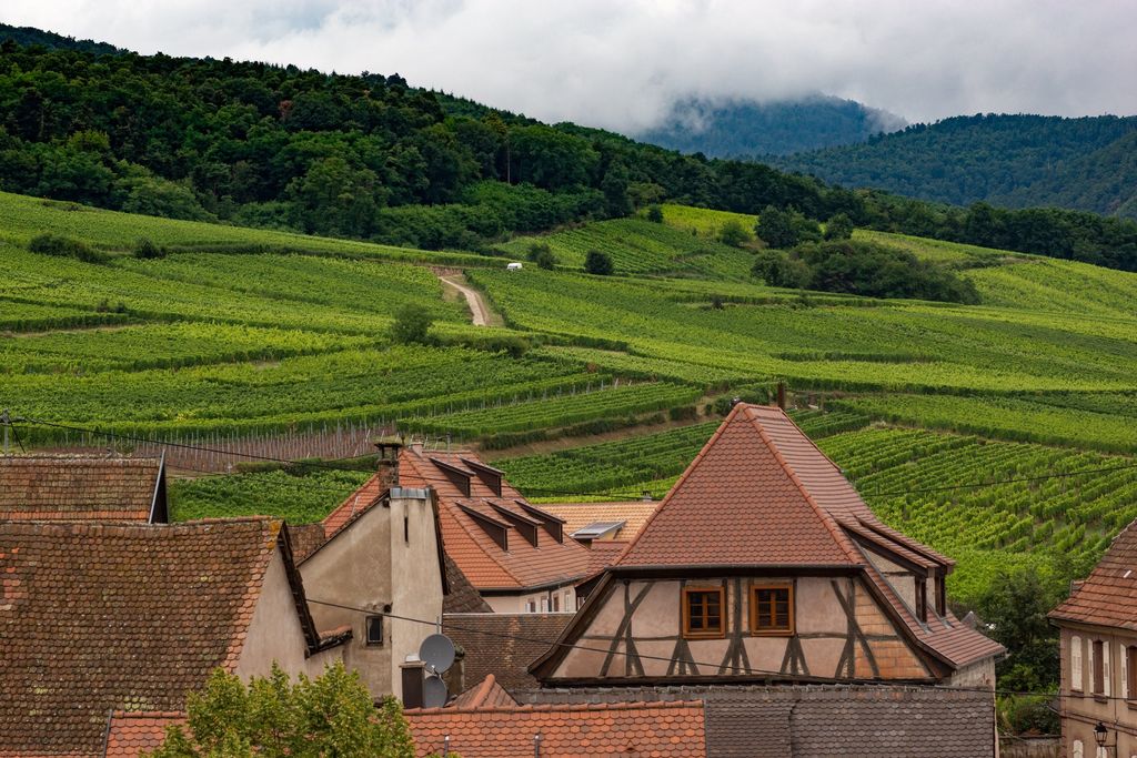 Village et vignoble alsacien