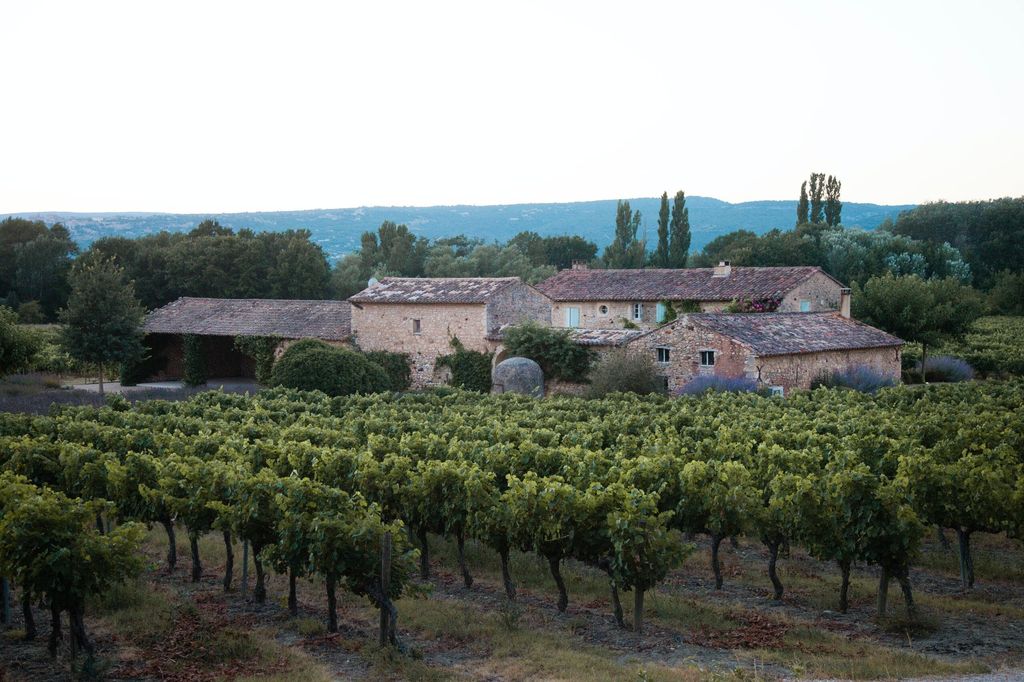 Image vignoble de Provence avec des maisons en fond