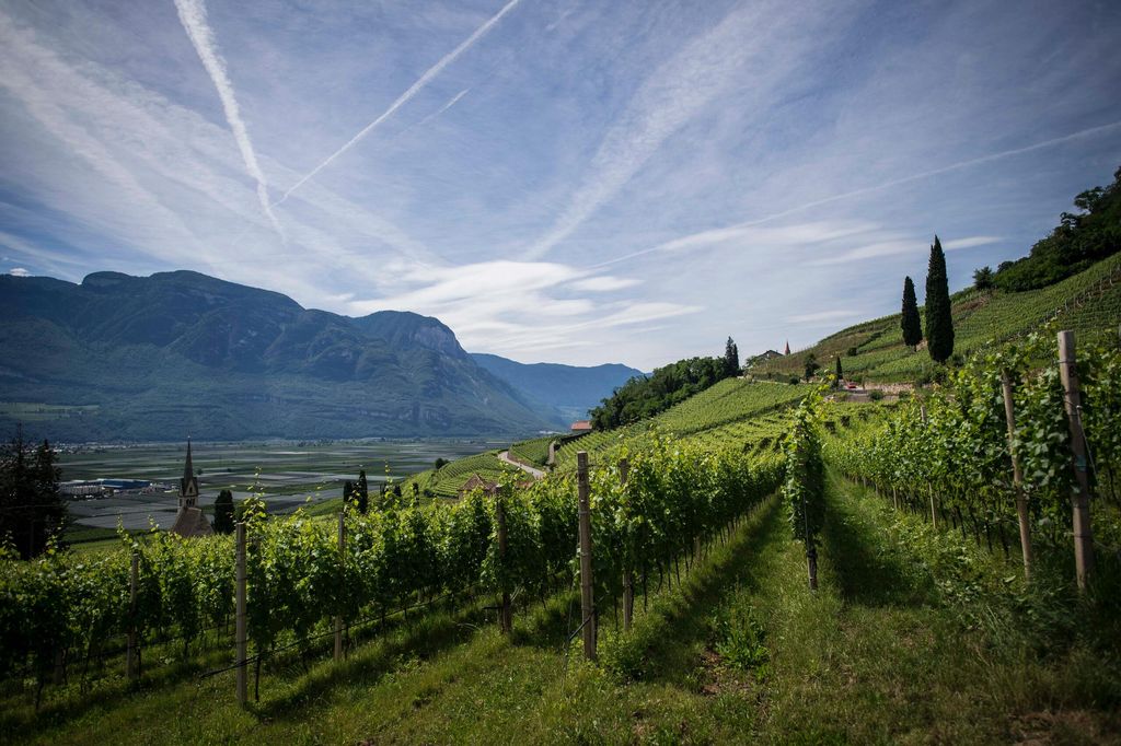 Image vignoble Savoie en flanc de montagne