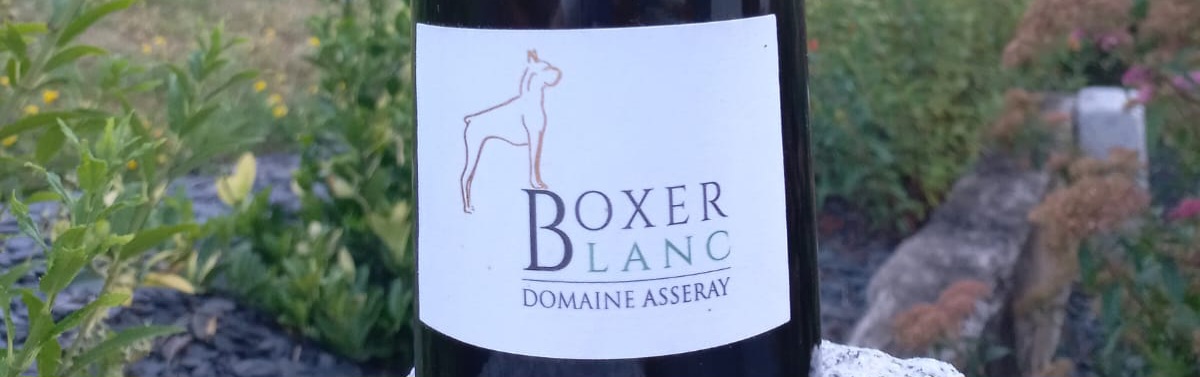 Étiquette Vin Blanc, Boxer Blanc d'Anjou