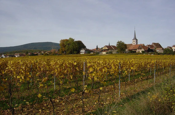 Domaine Charles Wantz