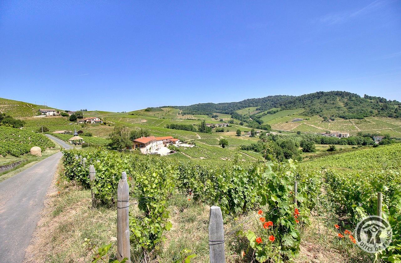 Domaine Hirsch