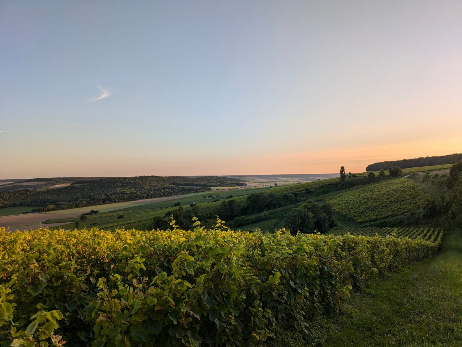 Région Champagne